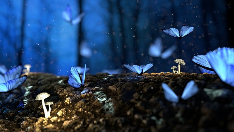 Enchanted Conversations